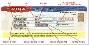 韓國簽證類型及門票預定指南 輕松規劃您的韓國之旅